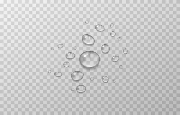 Vector illustration of Vector water drops. Drops, condensation on the window, on the surface. Realistic drops on an isolated transparent background.