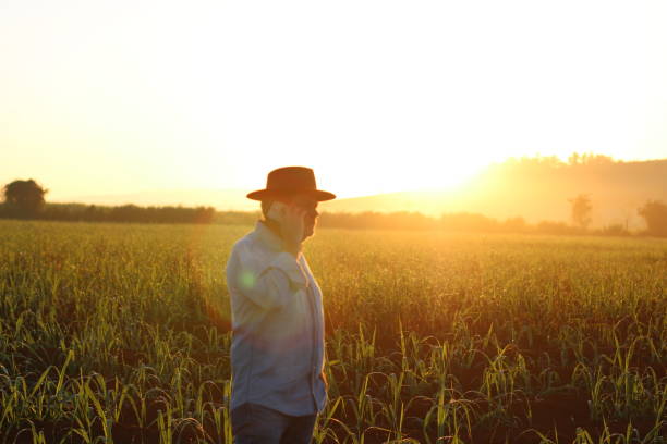 istock use of technology in the field 1308424465