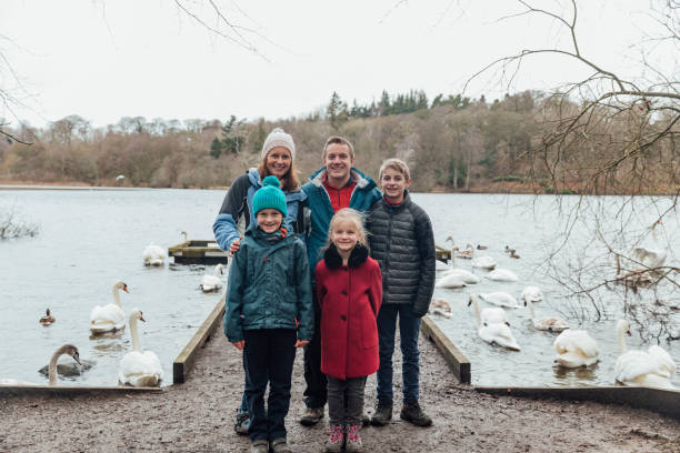 Lakeside Portrait Portrait of a mother father and their children on a family day out to Bolam Lake in Northumberland. It is cold weather during winter. They are smiling at the camera. swan photos stock pictures, royalty-free photos & images
