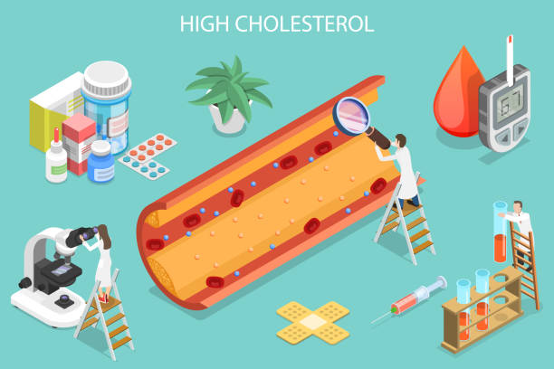 3D Isometric Flat Vector Conceptual Illustration of High Cholesterol Level. 3D Isometric Flat Vector Conceptual Illustration of High Cholesterol Level, Health Risk, Blood Flow. colesterol stock illustrations