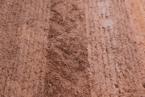 istock Wheel mark of car on brown mud floor background 1308425184