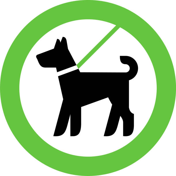 Dogs Allowed only on a lead Dogs Allowed only on a lead, modern sign for city design, vector illustration zoning out stock illustrations