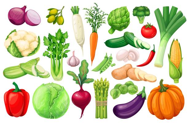 illustrazioni stock, clip art, cartoni animati e icone di tendenza di icone di verdure ambientate in stile cartone animato - brussels sprout vegetable organic healthy eating