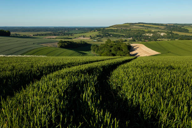 amberley in the south downs - arundel england imagens e fotografias de stock