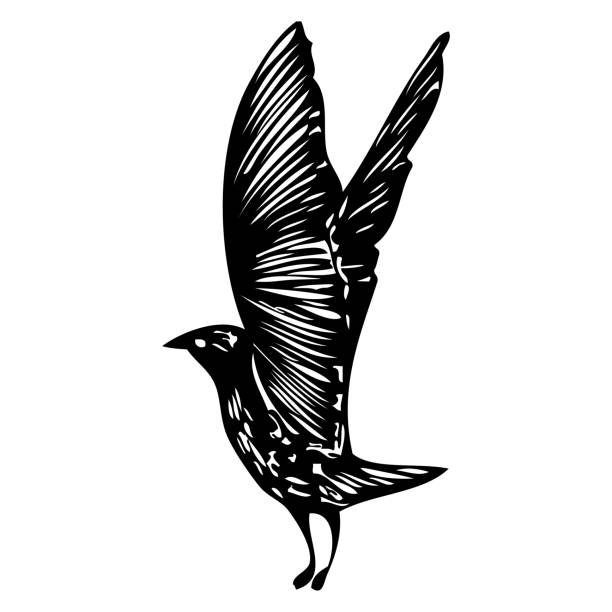 ilustrações, clipart, desenhos animados e ícones de silhueta de traço marinho isolado de pássaro gaivota voando no ar tinta de tatuagem de flash corporal inspirador para o marinheiro vector. - black pencil flash