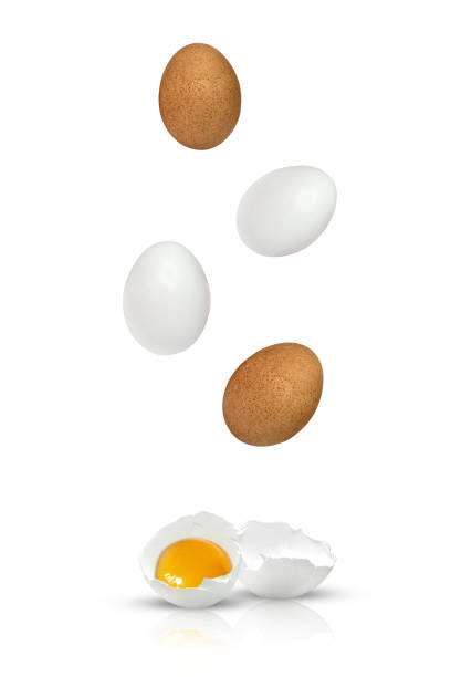 istock Eggs tossed into the air fall and break, isolated on white background with added shadows and reflections 1308432331