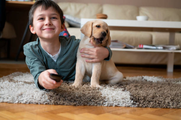 istock Cute boy watching TV with puppy 1308438354