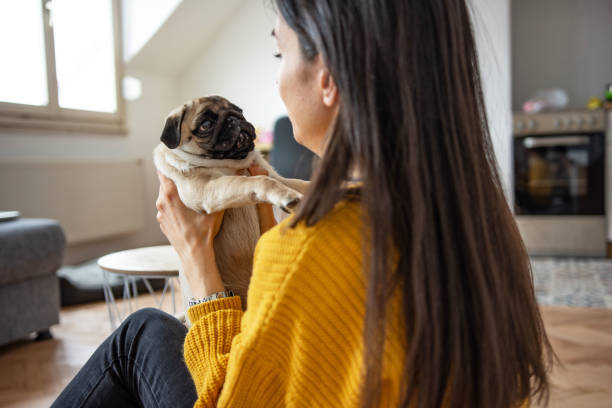 istock Sad young woman with her little dog 1308441490