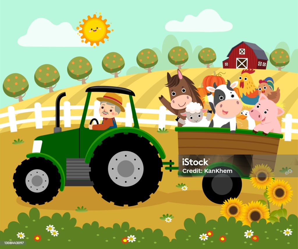 Vector Illustration Cartoon Of Happy Elderly Farmer Driving A Tractor With  A Trailer Carrying Farm Animals On The Farm Stock Illustration - Download  Image Now - iStock