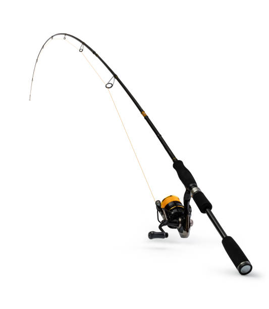 istock Spinning rod for fishing 1308444744