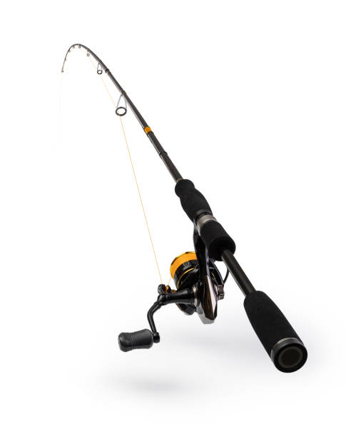 istock Spinning rod for fishing 1308444751