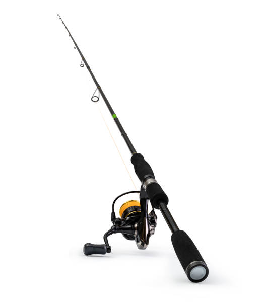 istock Spinning rod for fishing 1308444752