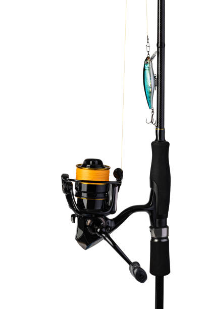 istock Spinning rod, reel and fishing baits 1308444768