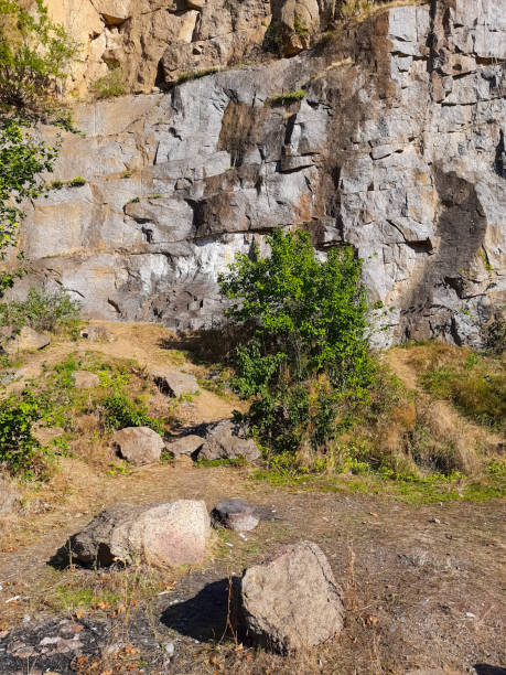 istock Rocky area with trees and vegetation. 1308447194