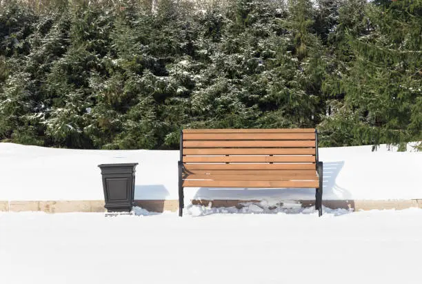 Wooden bench on the background of the forest in winter