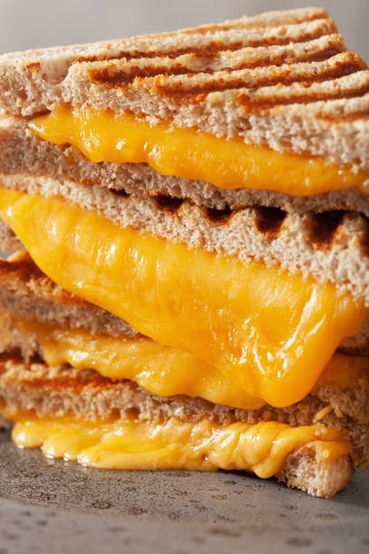 grilled cheese sandwich on gray concrete background - cheese sandwich imagens e fotografias de stock