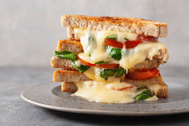 istock grilled cheese spinach and tomato sandwich on concrete background 1308448286