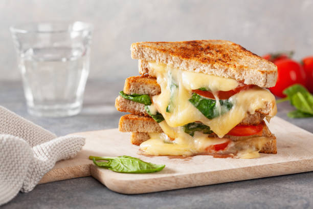 grilled cheese spinach and tomato sandwich on concrete background - cheese sandwich imagens e fotografias de stock