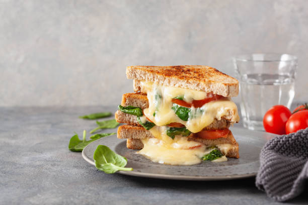 grilled cheese spinach and tomato sandwich on concrete background stock photo