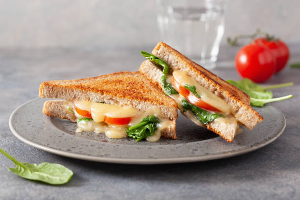 istock grilled cheese spinach and tomato sandwich on concrete background 1308448556