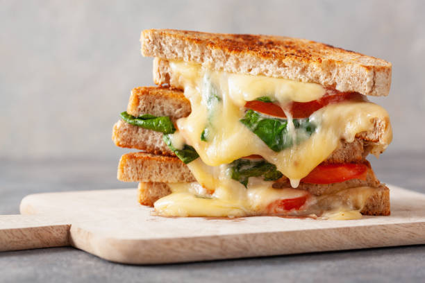 grilled cheese spinach and tomato sandwich on concrete background - cheese sandwich imagens e fotografias de stock