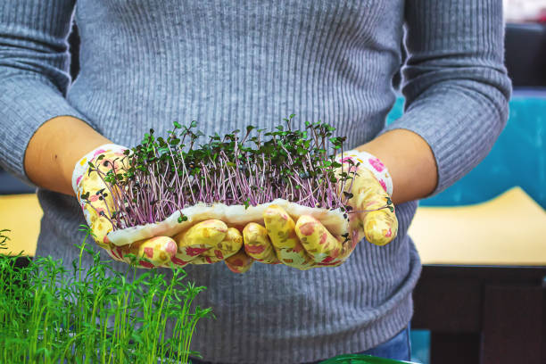 microgardening