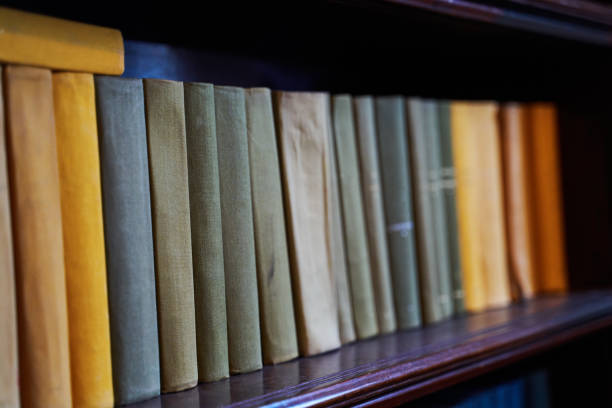 istock Bookshelf with many books 1308449889