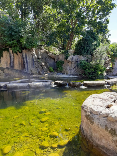 istock National park with a river. River View. Landscape. Background for the screen. Nature. 1308451336