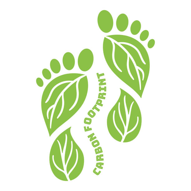 ilustrações de stock, clip art, desenhos animados e ícones de carbon footprint icon from foots shape. co2 ecological footprint symbols with green leaves. greenhouse gas emission. environmental and climate change concept - recycling carbon footprint footprint sustainable resources