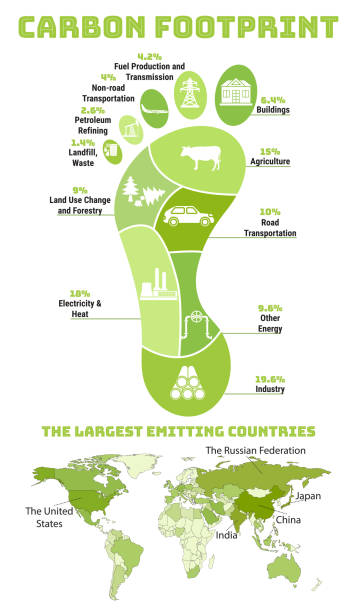 ilustrações, clipart, desenhos animados e ícones de infográfico de pegada de carbono. pegada ecológica de co2. emissão de gases de efeito estufa por setor. conceito de mudança ambiental e climática. os maiores países emissores - environmental footprint