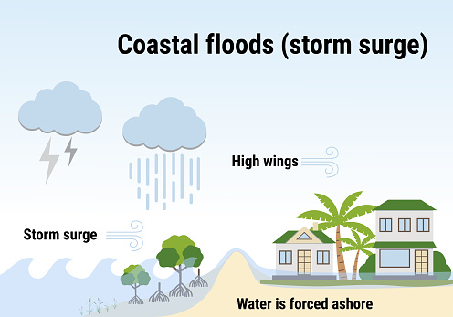 Coastal floods, storm surge. Flooding infographic. Flood natural disaster with rainstorm, weather hazard. Houses, trees covered with water. Global warming and climate change concept. Flat vector.