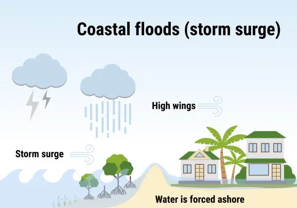 Vector illustration of Coastal floods, storm surge. Flooding infographic. Flood natural disaster with rainstorm, weather hazard. Houses, trees covered with water. Global warming and climate change concept.