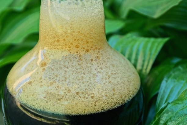istock part of a bottle with an alcoholic drink and white foam 1308454985