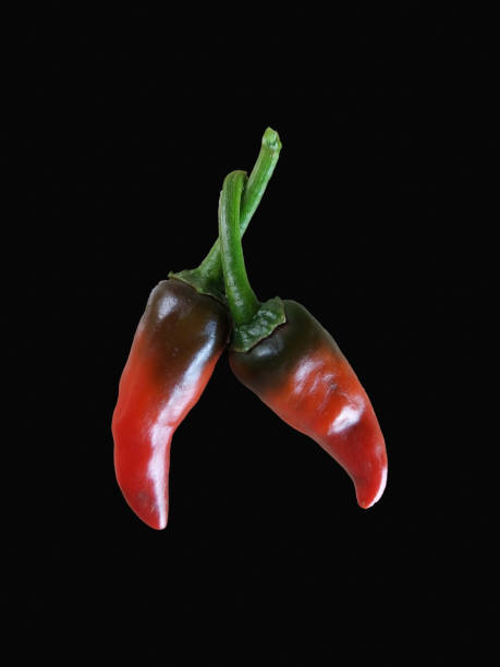Red bell pepper on black background