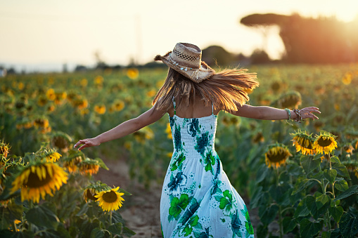 Teenage girl enjoying walking in sunflower field in Tuscany. The girl is walking among the flowers lit by the setting sun.\nNikon D850