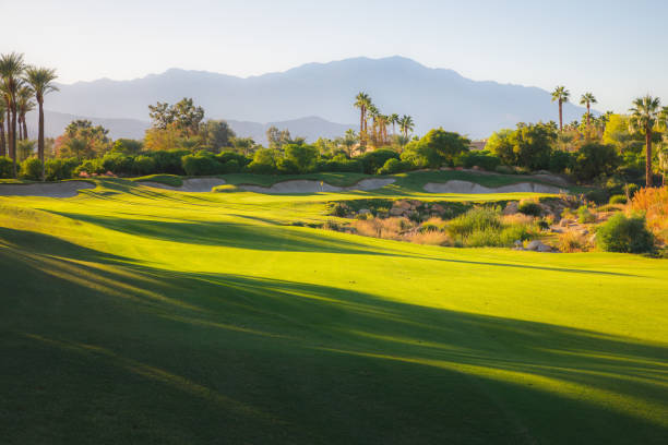 indian wells golf course - golf course golf sand trap beautiful - fotografias e filmes do acervo