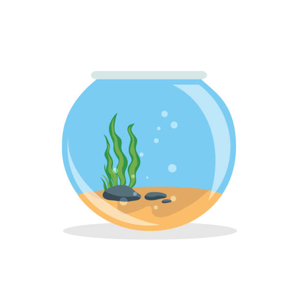 Empty fishbowl with water isolated on white background. Empty fishbowl with water isolated on white background. Fishbowl aquarium in flat style. Vector stock goldfish bowl stock illustrations
