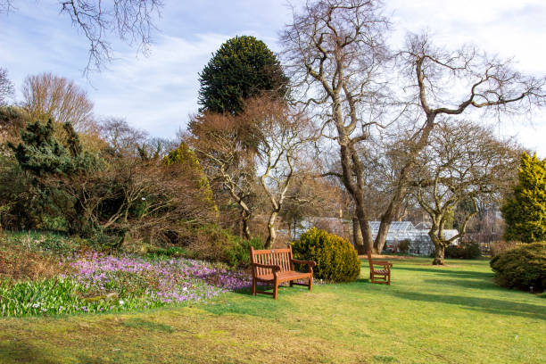 istock A bench in the park in Scotland 1308460802