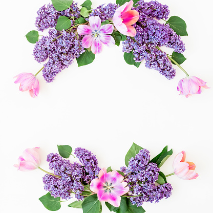 Frame of lilac and tulips flowers on white. Flat lay, top view