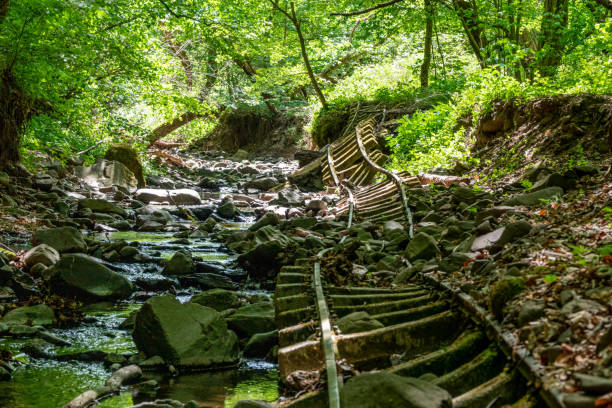 Old abandoned mining train rails in the dark forest