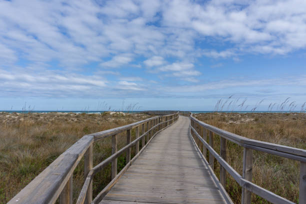 istock wooden boardwalk leading through coastal marshlands and sand dunes 1308462781