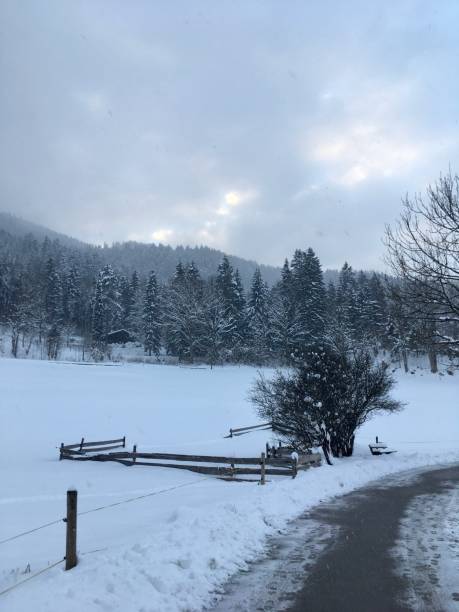 istock Walk along the snow-covered paths in upper Bavaria. 1308463327