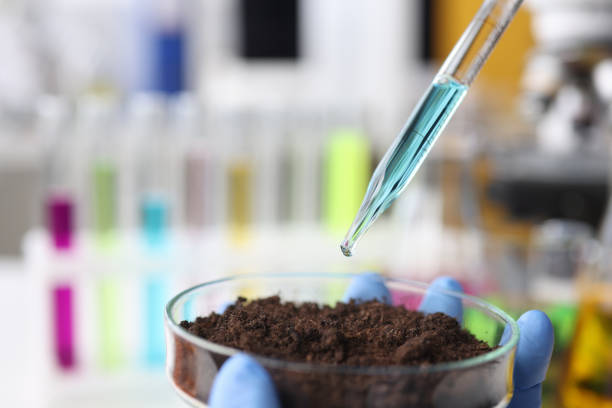 istock Liquid is dropped from glass pipette into flask with soil 1308463995
