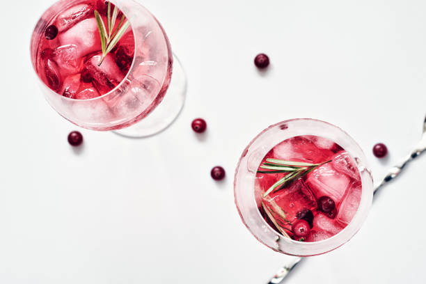 istock Cranberry rosemary spritzer drink. 1308466542