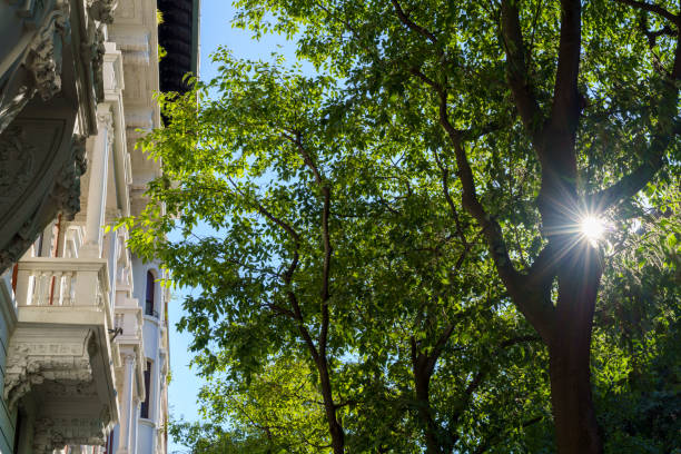 istock Milan, Italy: historic buildings along via Mascheroni 1308469353