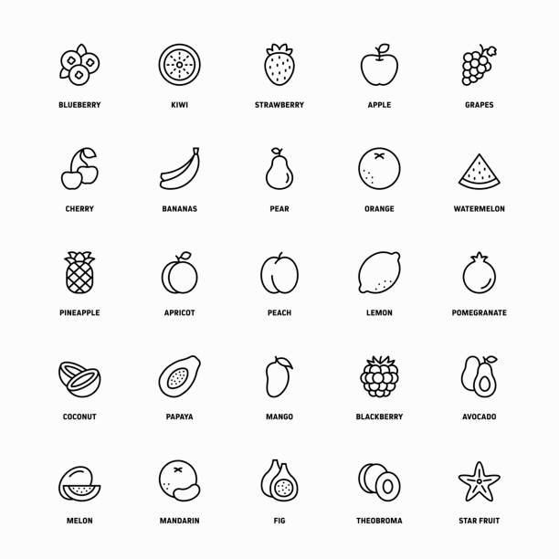 illustrations, cliparts, dessins animés et icônes de ensemble d’icône de contour des fruits organiques - fruits et légumes
