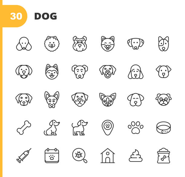 개 라인 아이콘. 편집 가능한 스트로크. 픽셀 완벽한. 모바일 및 웹용. 개, 강아지, 애완 동물, 국내 동물, 허스키, 래브라도, 포메라니안, 퍼그, 골든 리트리버, 독일 셰퍼드, 불독과 같은 아이콘� - grooming dog pets poodle stock illustrations