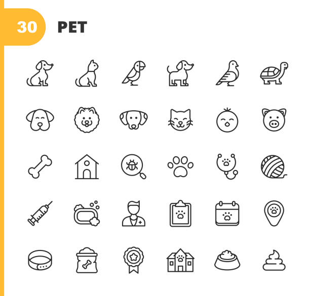 30 Animal Outline Icons. Dog, Cat, Parrot, Puppy, Bird, Tortoise, Kitten, Chick, Pig, Dog Bone, Hut, Medical Exam, Vet, Dog Paw, Syringe, Vaccine, Bath, Shelter, Award, Food, Poop, Domestic Animal, Pet.