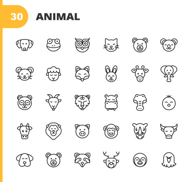 ilustraciones, imágenes clip art, dibujos animados e iconos de stock de iconos de línea animal. trazo editable. pixel perfecto. para móviles y web. contiene iconos como perro, rana, búho, gato, oso, ratón, oveja, zorro, conejo, jirafa, elefante, panda, cabra, león, tigre, hipopótamo, polluelo, vaca, cerdo, mono, toro, sk - rodent animal nature wildlife