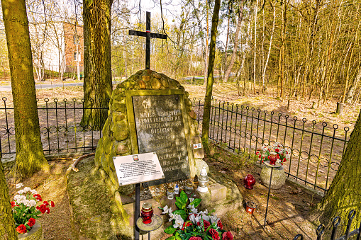 Izabelin, Poland - April 24, 2020: Forest historic grave of fallen Home Army soldiers of Kampinos Army regiment in Kampinoski Forest near Warsaw in Mazovia region of central Poland